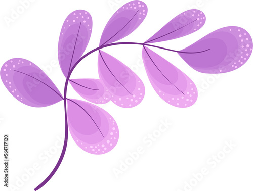 sprig with round leaf purple photo