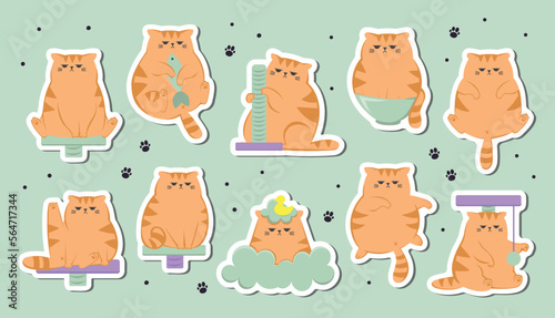 The collection stickers with of cute funny grumpy ginger cat. Cats sitting, sleeping and playing with cats house. Cute funny cartoon cat character in different poses.