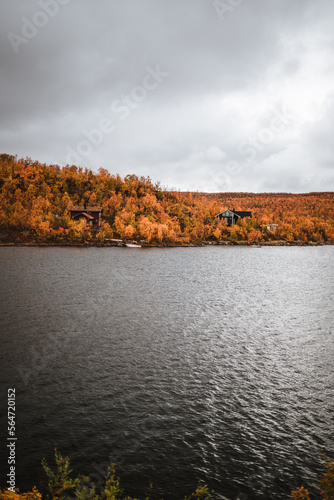 Norwegian fjord on a moody autumn day with beatiful colored trees © Alicia
