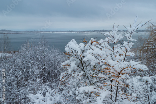 Jezioro Tarnobrzeskie zimą photo