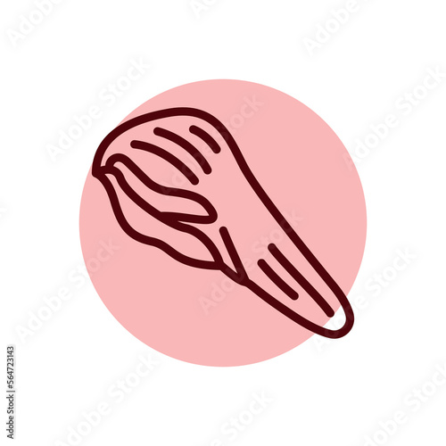 Beef tongue color line icon. Cutting meat.
