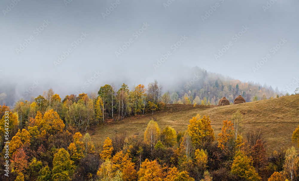 Autumn in Apuseni Mountains from Romania. Beautiful fall color landscape in the heart of the mountains with haystacks in foreground. Travel to Transylvania.