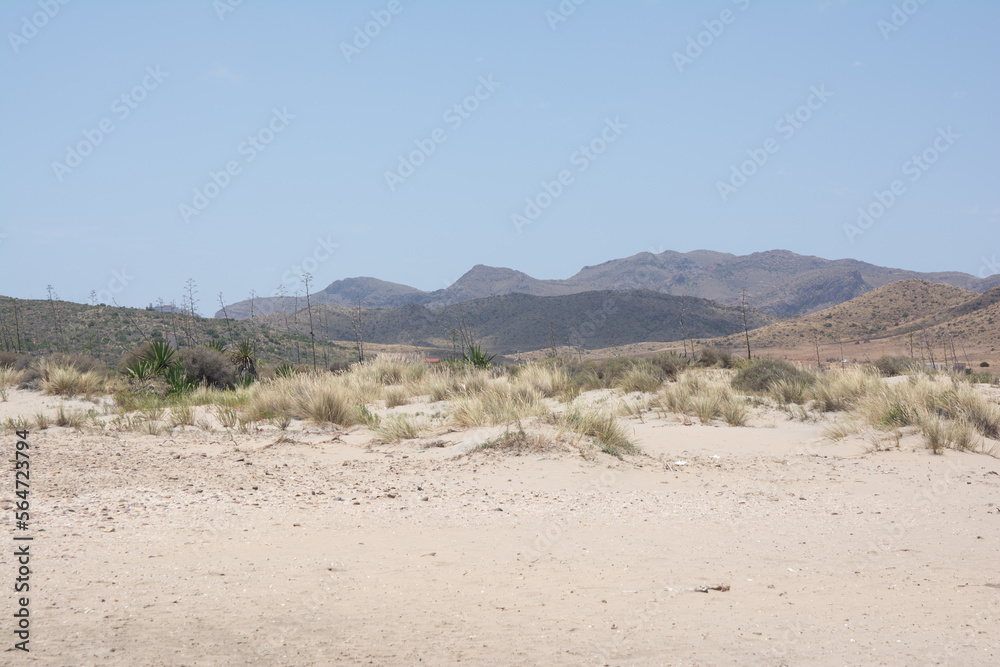 Desierto Desierto