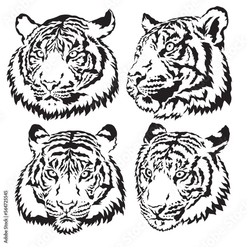 tiger vector
