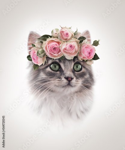Portrait of sitting gray kitten with Rose floral wreath on beige background © Ortis