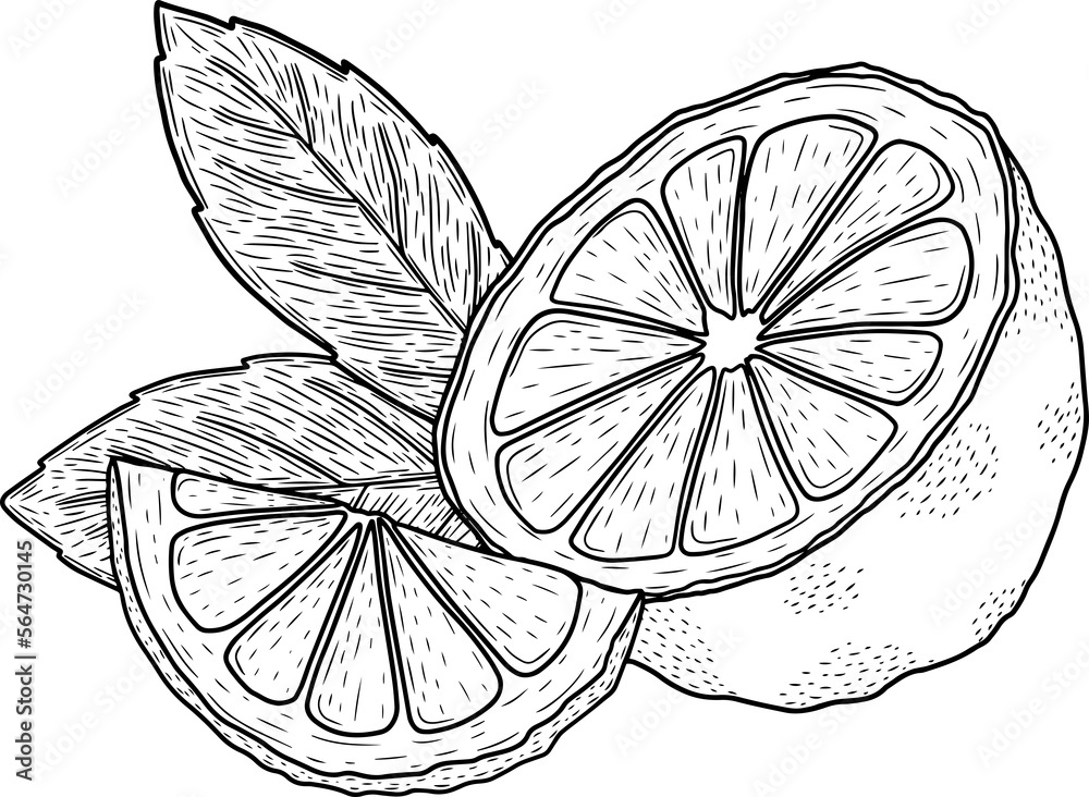 Full lemon with black line, png file Full lemon with black line, png file