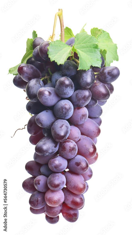 Fototapeta premium Bunch of grapes isolated on white