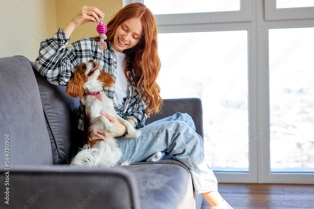 Female owner playing with joyful dog at home, happy young redhead woman enjoying games with cute puppy. Redhead lady in casual wear is Playing with dog, in domestic atmosphere, cozy room