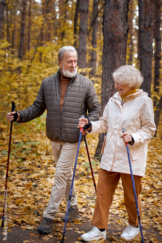 active senior couple walking with Nordic poles while enjoying hike in beautiful autumn forest. gray bearded mature elderly male and female in casual warm wear having rest, good relationships