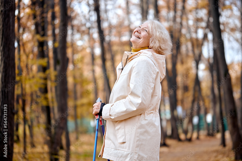 Outdoor activities, people and vacations concept. Attractive middle senior woman in activewear hiking in forest using poles for nordic walking, doing aerobic workout, enjoying nature Outdoor activities, people and vacations concept. Attractive middle senior woman in activewear hiking in forest using poles for nordic walking, doing aerobic workout, enjoying nature