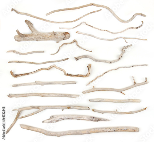 Set of sea driftwood branches isolated on white background. Bleached dry aged drift wood.