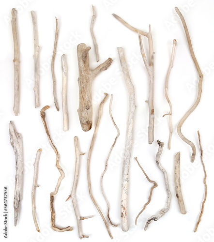 Set of sea driftwood branches isolated on white background. Bleached dry aged drift wood.