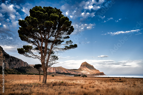 Sicilian landscape