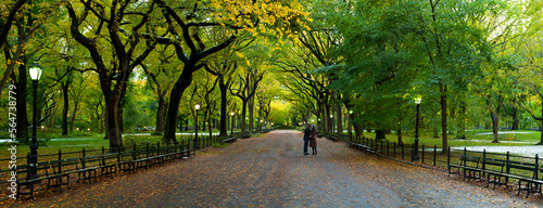 Couple kissing in the famous Mall section of Central Park in Manhattan, New York City, New York, USA. photo