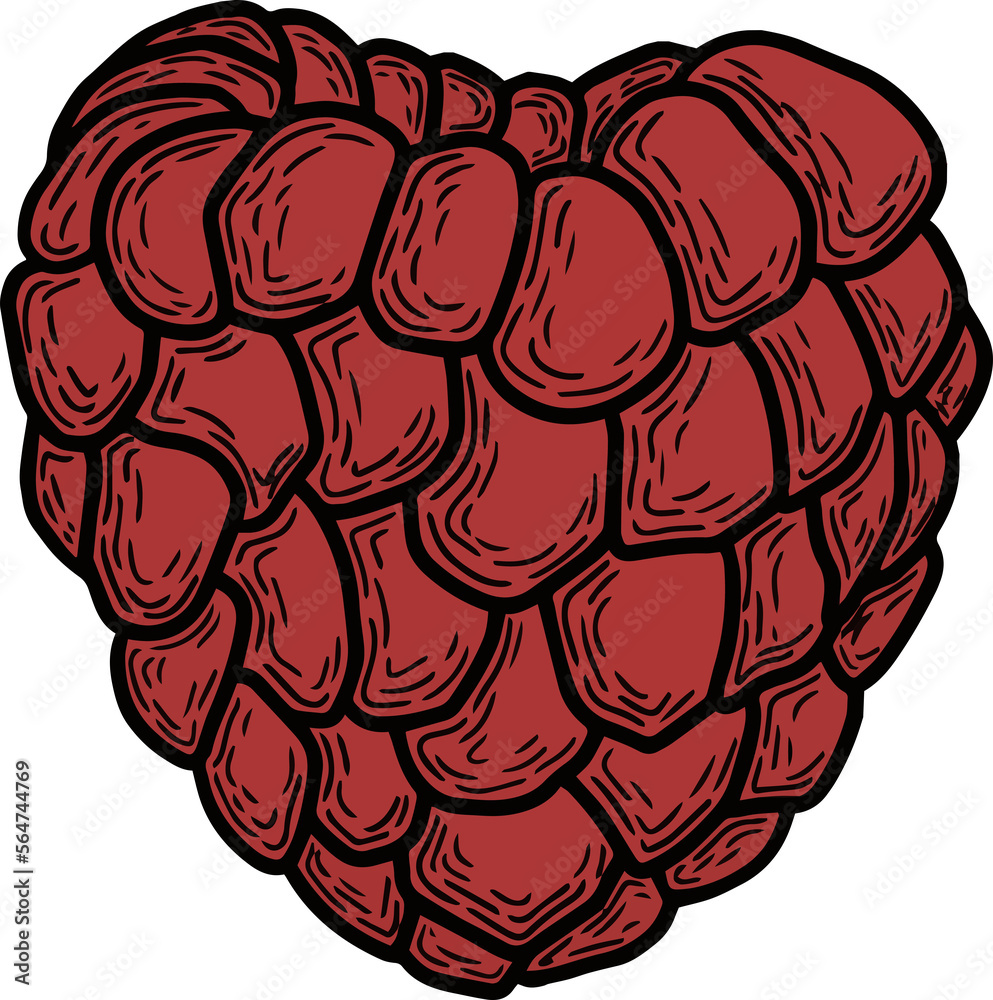 Fototapeta premium Minimalistic raspberry, png file