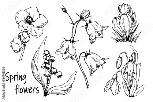 Set of spring flowers. Drawing. Sketch. Primroses. Spring. Season. First spring flowers. Ink. Silhouette. Set of elements for decoration. Holidays. Floristics.