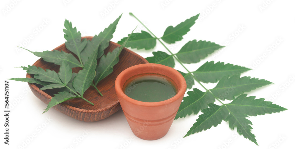 Fototapeta premium Medicinal neem leaves with extract