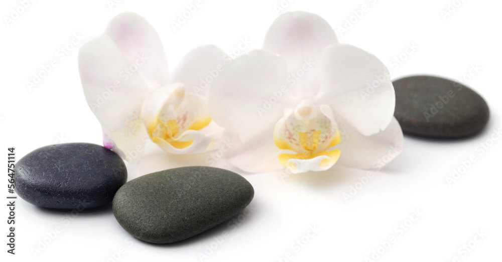 Spa stone with orchid flower Spa stone with orchid flower