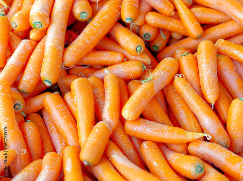 Raw, organic carrots top view closeup, tasty orange background.