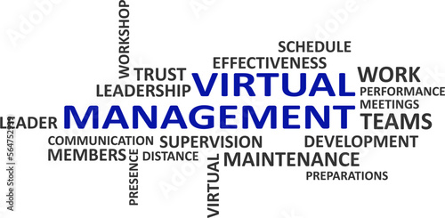 word cloud - virtual management