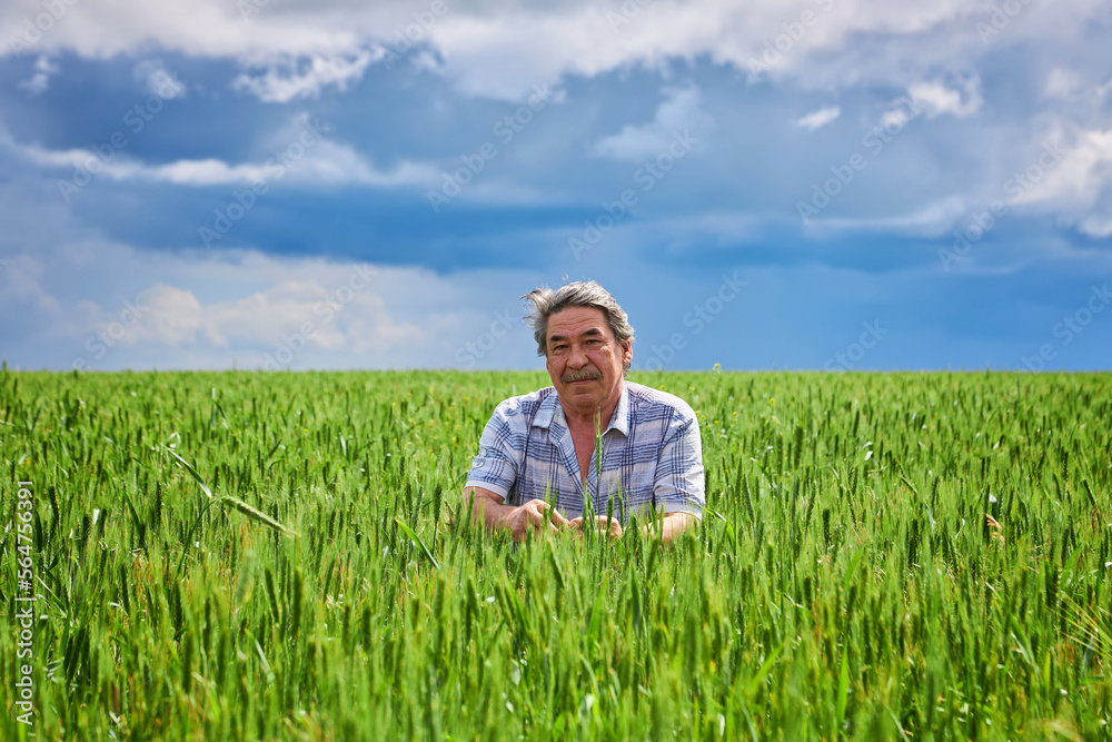 Portrait of farmer standing in green wheat field