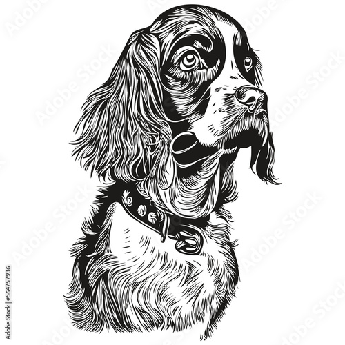 Spaniel English Springer dog hand drawn logo line art vector drawing black and white pets illustration