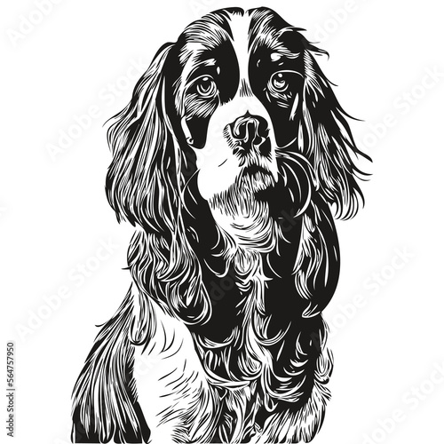 Spaniel English Springer dog hand drawn logo line art vector drawing black and white pets illustration