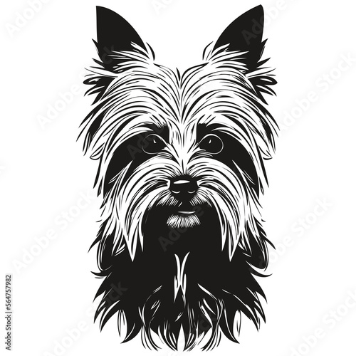 Yorkshire Terrier dog hand drawn line art vector drawing black and white logo pets illustration
