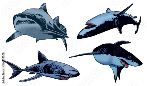 Vector set of blue sharks on white isolated, color illustration,underwater marine life