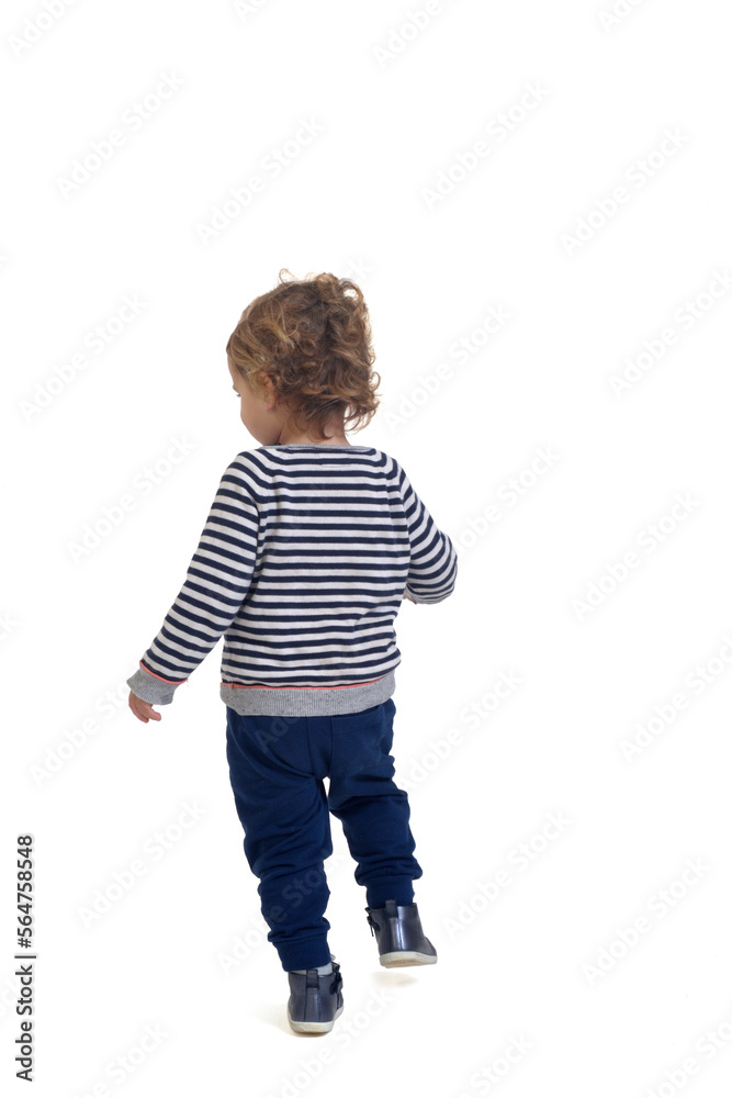 back view of a baby boy walking on white background back view of a baby boy walking on white background