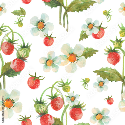 Seamless pattern with watercolor strawberry. Floral illustration of berries and flowers. Herbal background. Good for wrapping paper  textile  prints and other.