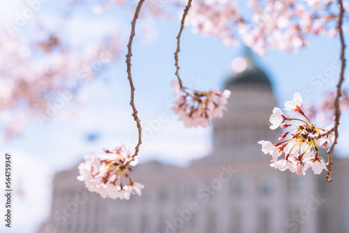 Capitolio de Utah en Salt Lake City, EU. durante la primavera.