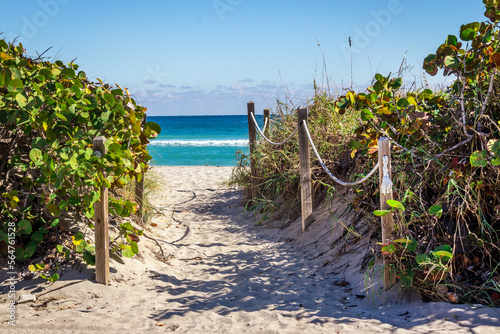 Tropical Paradise nature landscape  vertical