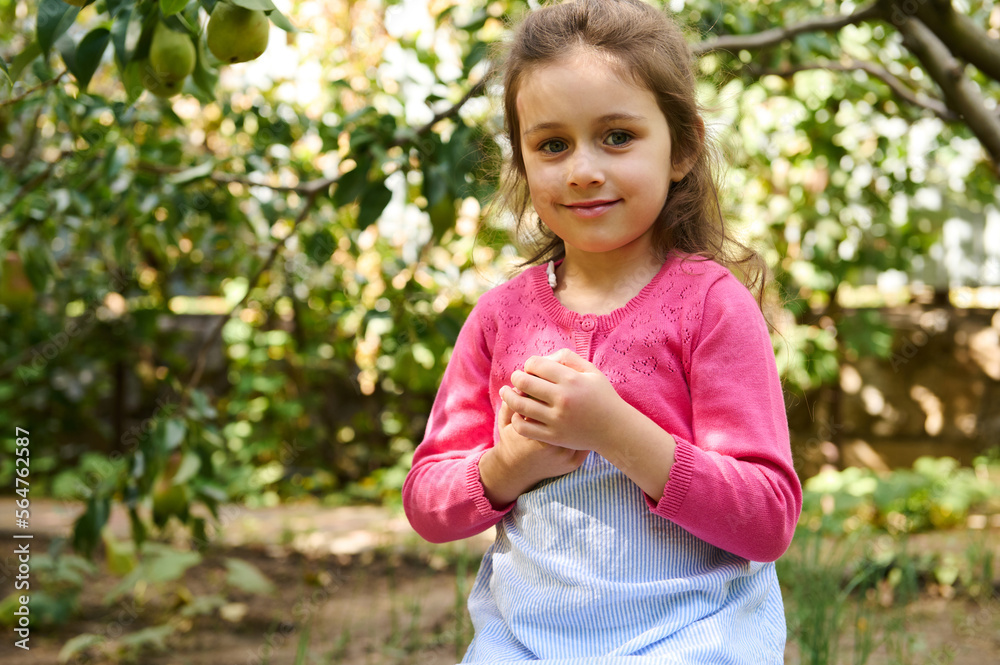 Adorable little child smiles looking at camera, holding a fresh ripe pear in her hands, in orchard Adorable little child smiles looking at camera, holding a fresh ripe pear in her hands, in orchard