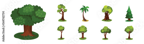 Tree with Exuberant Green Foliage and Trunk Vector Set