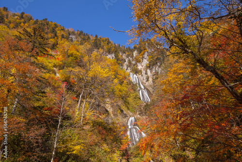 Daisetsuzan National Park, Hagoromo Falls in Autumn photo