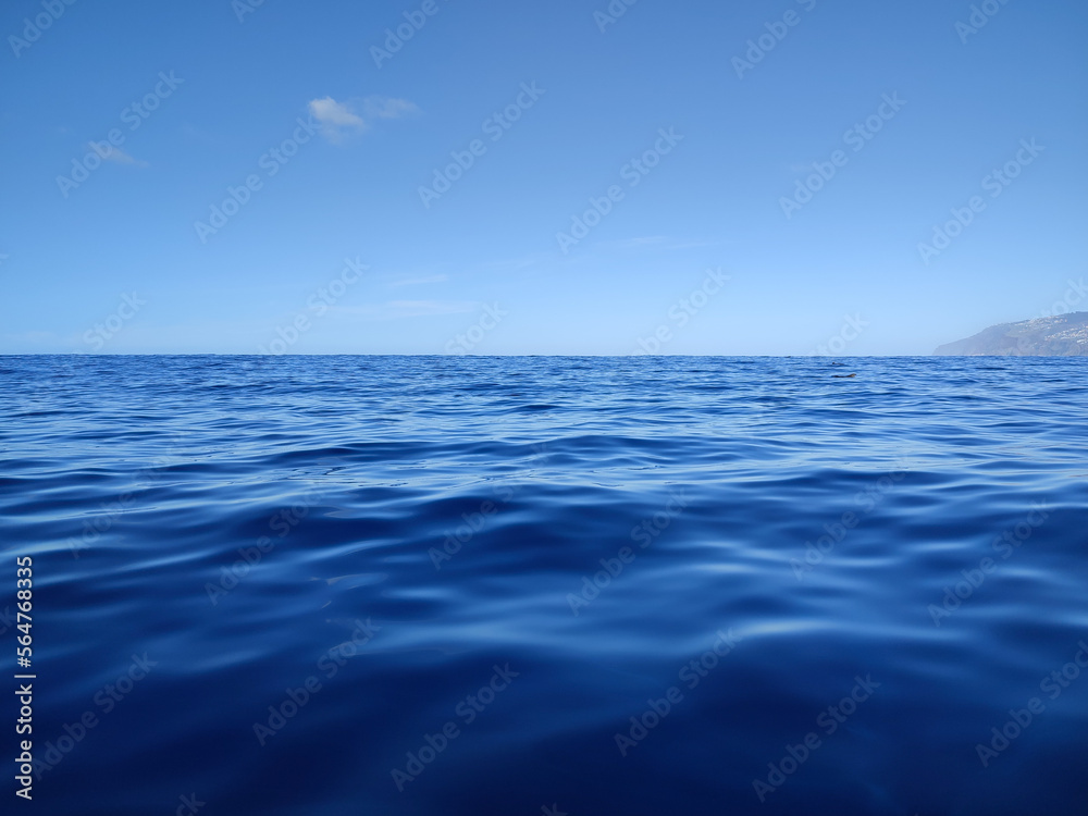 Fototapeta premium blue water of the ocean and a cloudless sky 