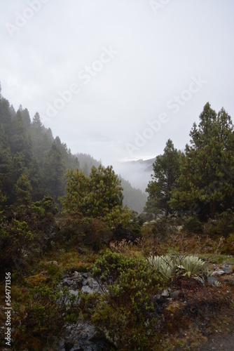 merida paisaje