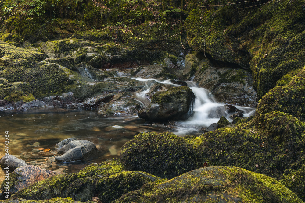 Obraz premium waterfall in the mountains