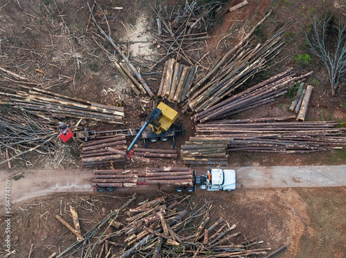 Land clearing, Snellville, Georgia, USA photo