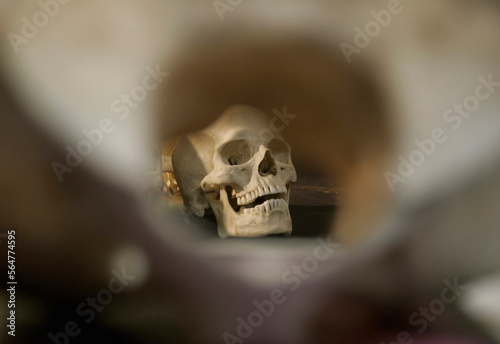 A human skull is seen through the opening of a vertebra which is blurred in the foreground.. photo