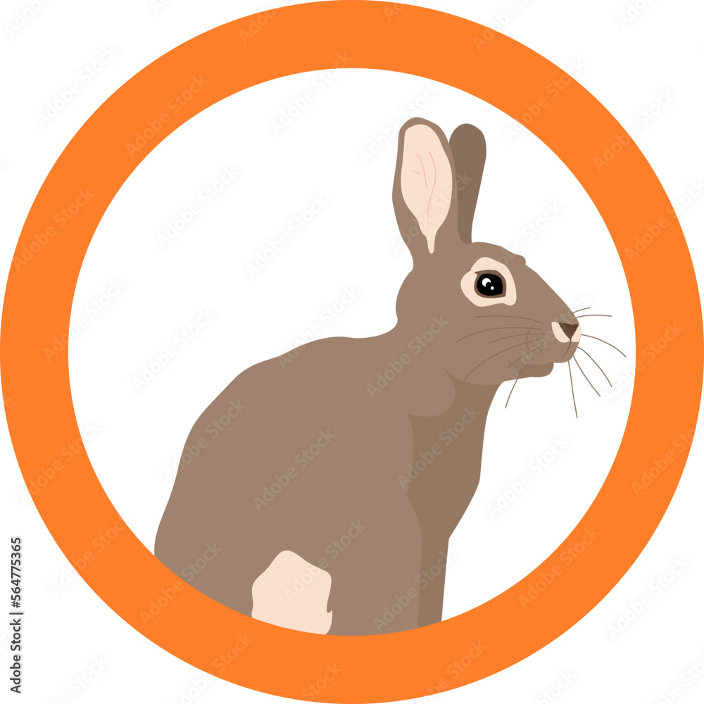 vector flat illustration of a rabbit bunny easter circle cute pet farm animal tail ears whiskers eyes adorable kids logo children spring new lunar year chinese happy vector flat illustration of a rabbit bunny easter circle cute pet farm animal tail ears whiskers eyes adorable kids logo children spring new lunar year chinese happy