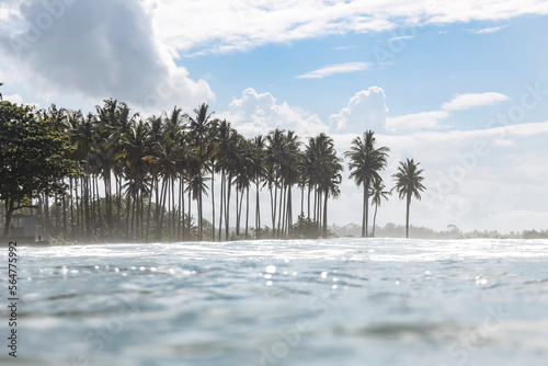 Coastline with palms seen from the ocean photo