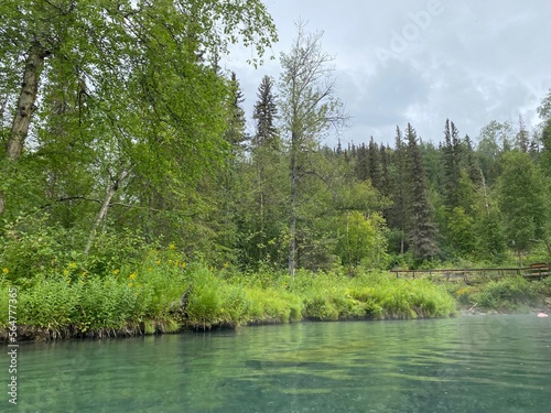 Lagoon in the Forest