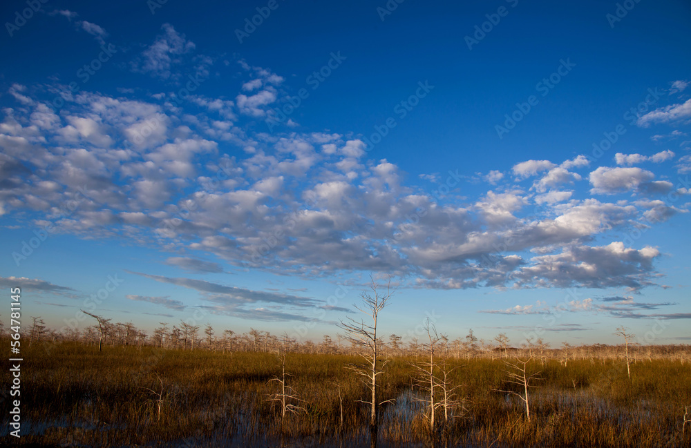 Everglades National Park, Florida 