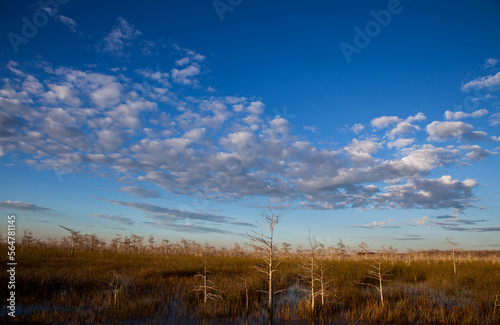 Everglades National Park  Florida 