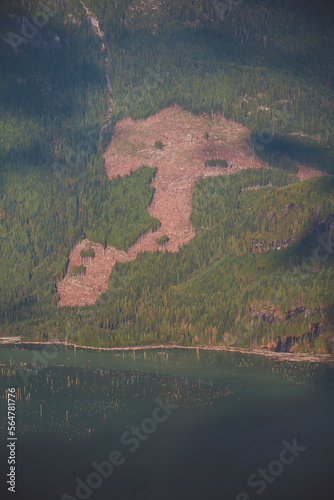 Logging clear cut above Stave Lake, British Columbia, Canada. photo