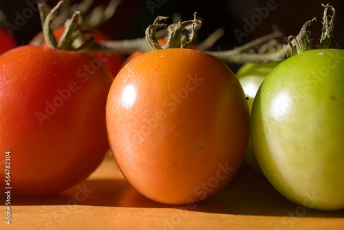 A row of small colorful tomatoes at different stages of ripeness. photo