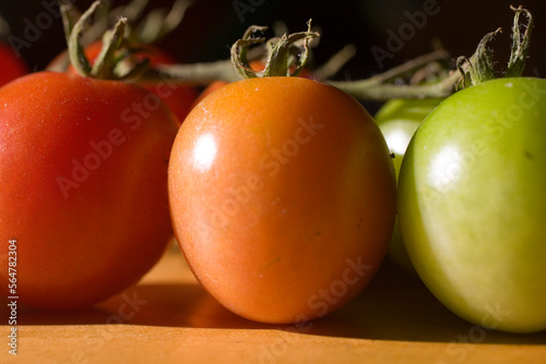 A row of small colorful tomatoes at different stages of ripeness.