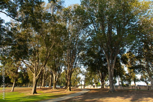 Trees, Paths, Parks and Recreation